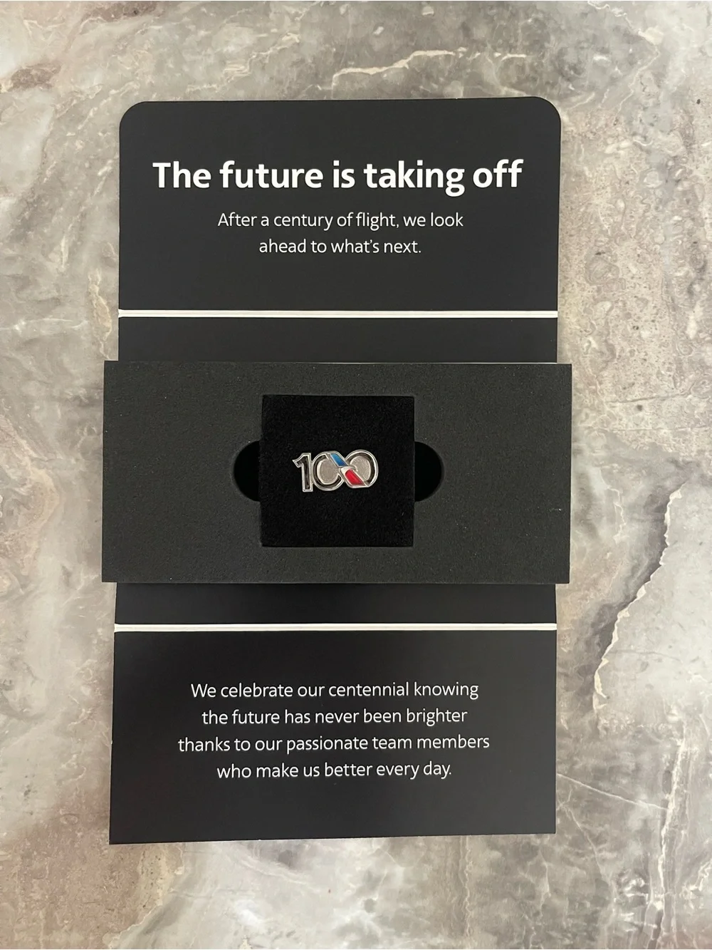 American Airlines 100 Year pin- Black, Red, Blue